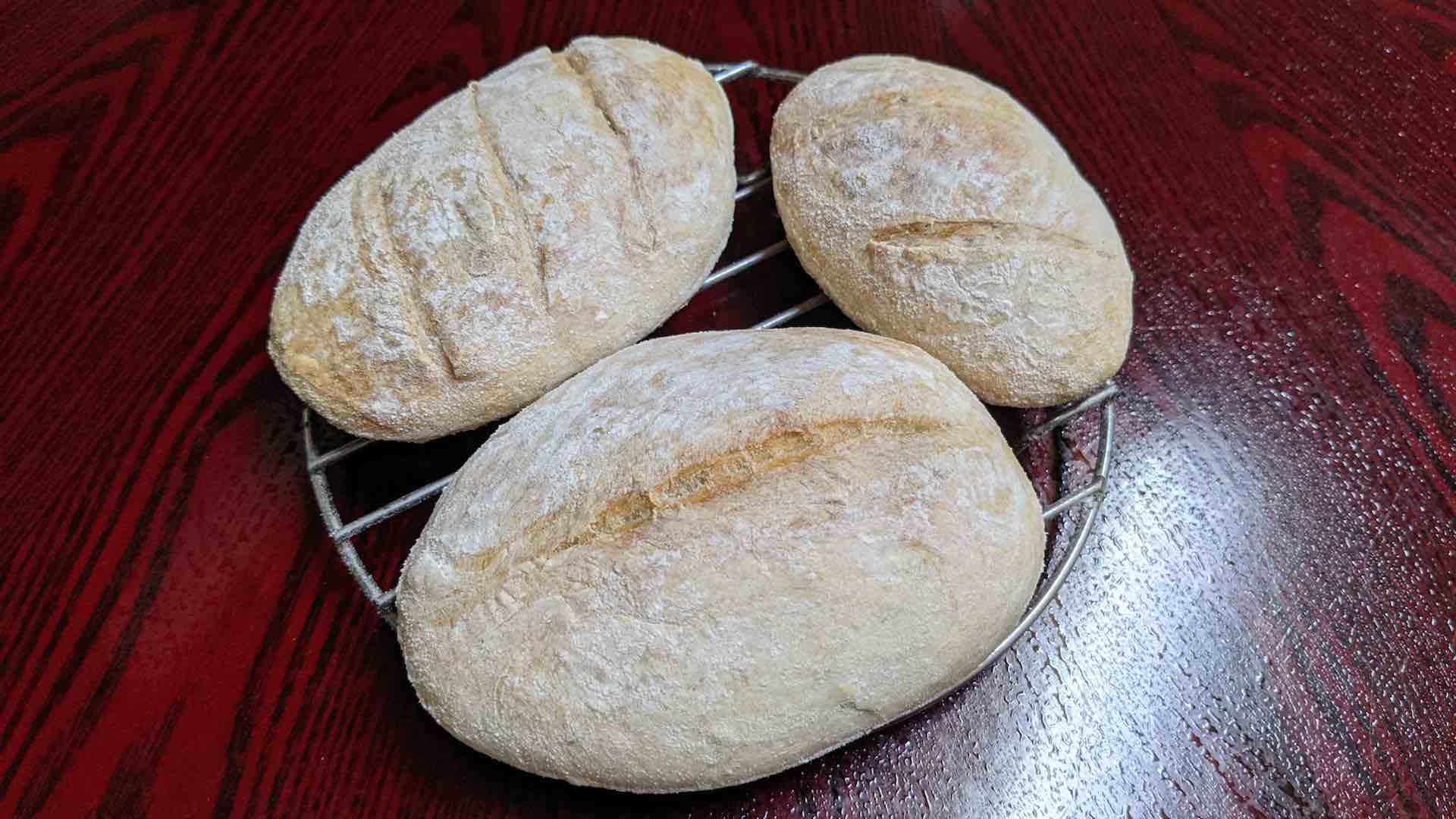 法國香草麵包：奶克菲爾菌種